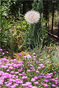 ca74106b-IMG_7379 nn.jpg